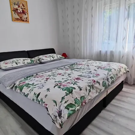 Apartment Tina Gracac (Zadar)